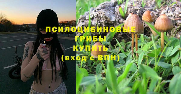 гидра Заволжск