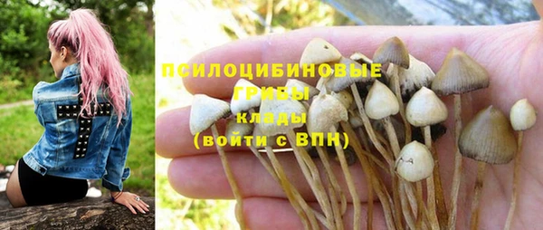 ALPHA PVP Заводоуковск