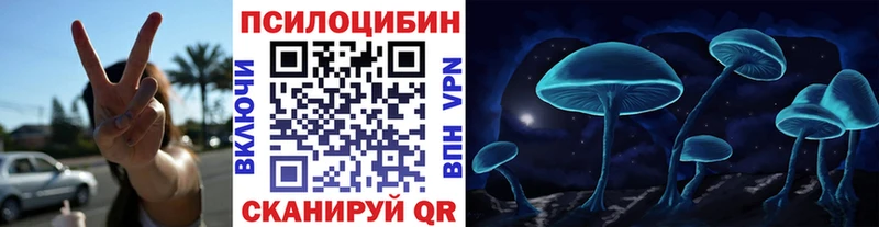 Псилоцибиновые грибы мицелий  Купить закладки  Искитим 
